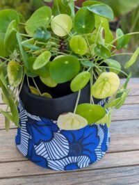 cachepotbrisemarine (1) Brise Marine