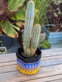 cachepotseismodune (2) Seismo Dune