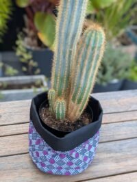 P-EDI012 - Cache pot/Panier multiusage - Purple Grid - 4