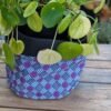 P-EDI012 - Cache pot/Panier multiusage - Purple Grid - 6