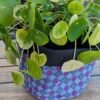 P-EDI012 - Cache pot/Panier multiusage - Purple Grid - 7