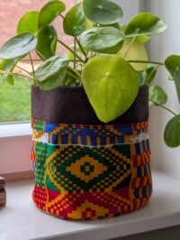 visual loop visual loop