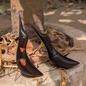 whatsapp image 2026 02 24 at 12.13.17