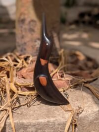 whatsapp image 2026 02 24 at 12.13.18 (1)